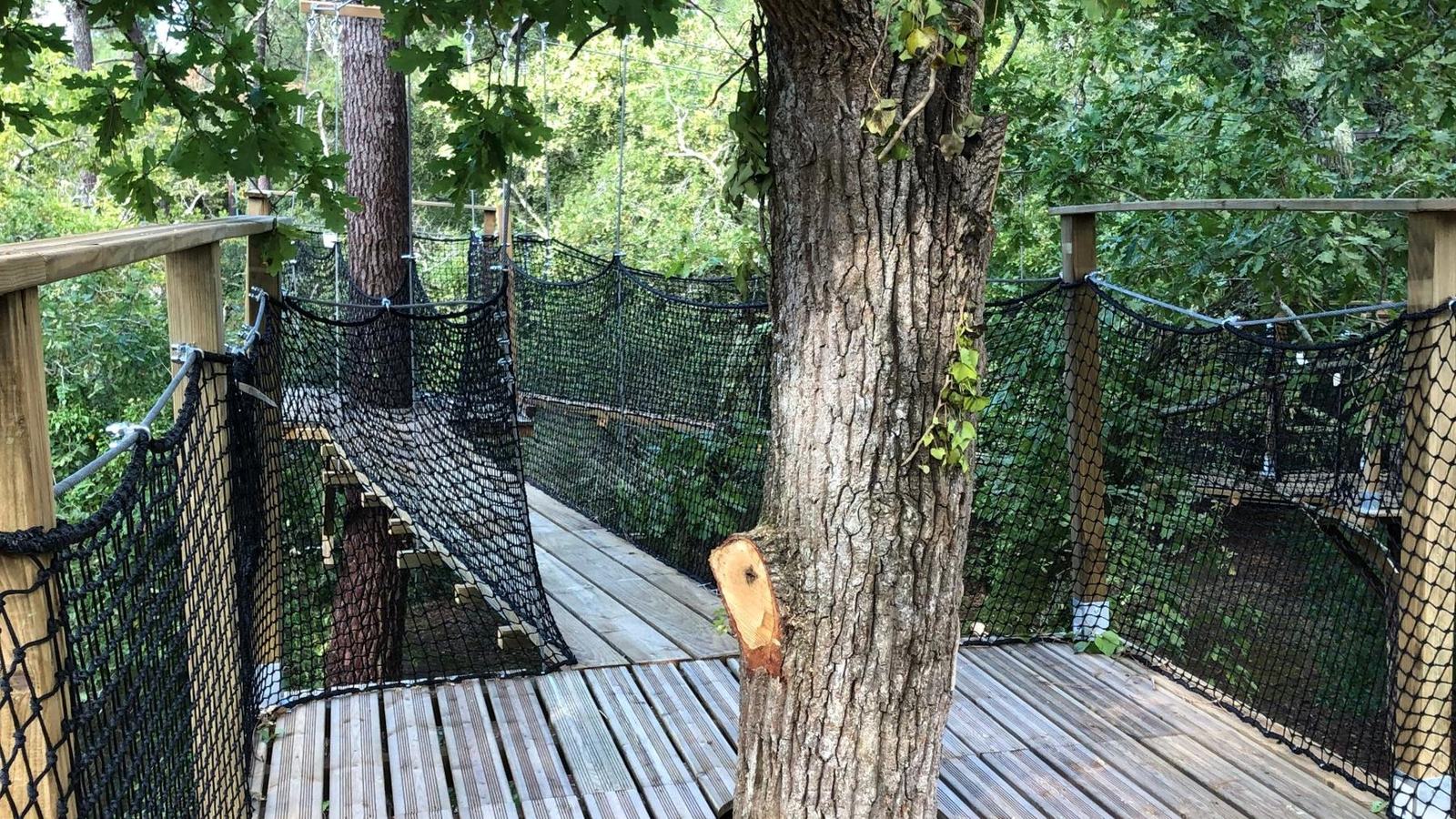 Plateforme en bois construite autour d'un chêne, reliée à des passerelles suspendues, à Arcachon