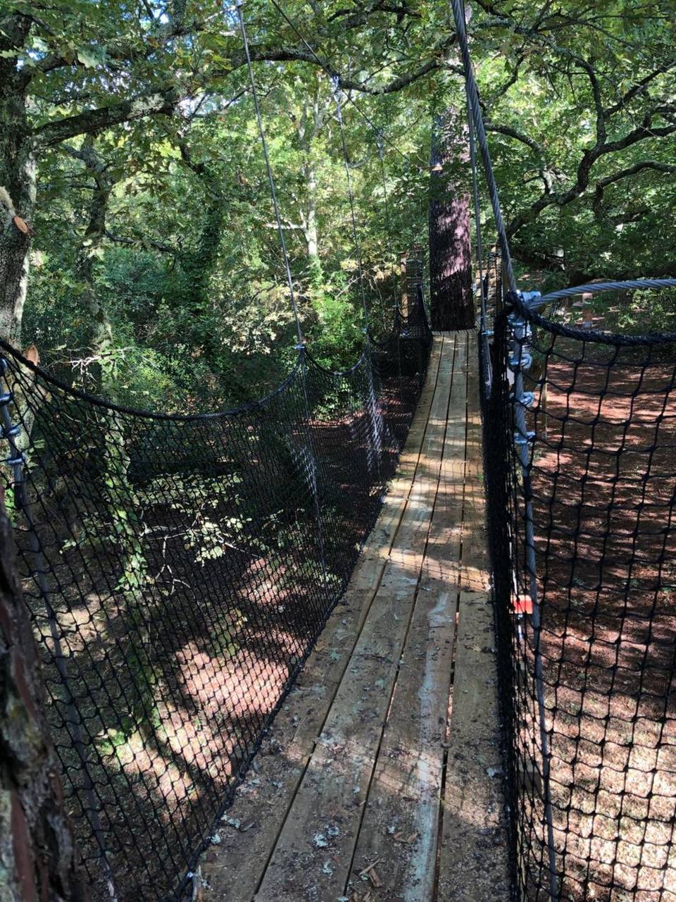 Longue passerelle suspendue à travers le sous-bois, sur le parcours de l'École de la forêt d'Arcachon