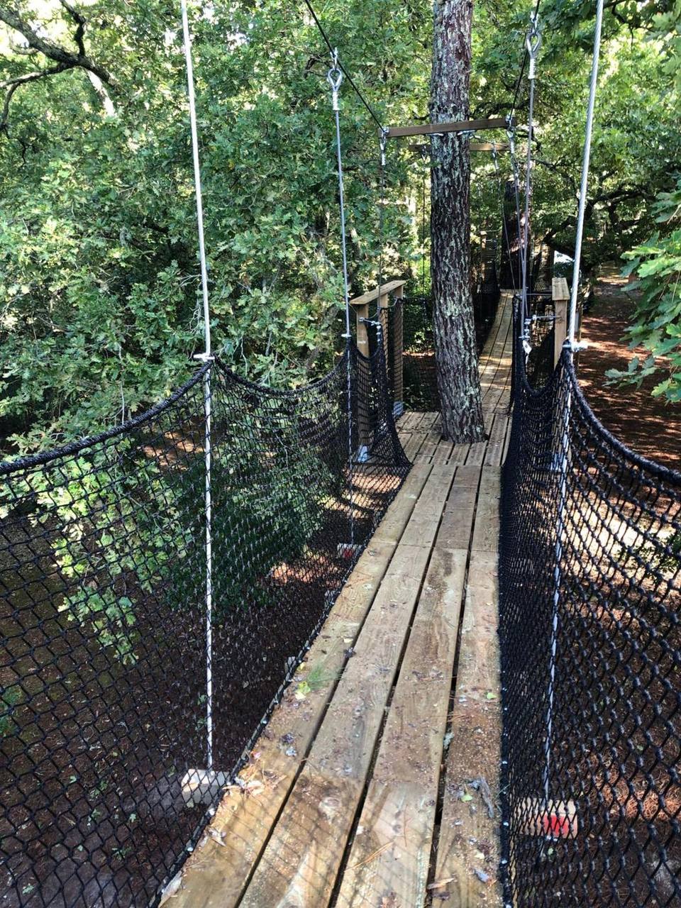 Passerelle suspendue en bois bordée de filets, entre les arbres de l'École de la forêt d'Arcachon