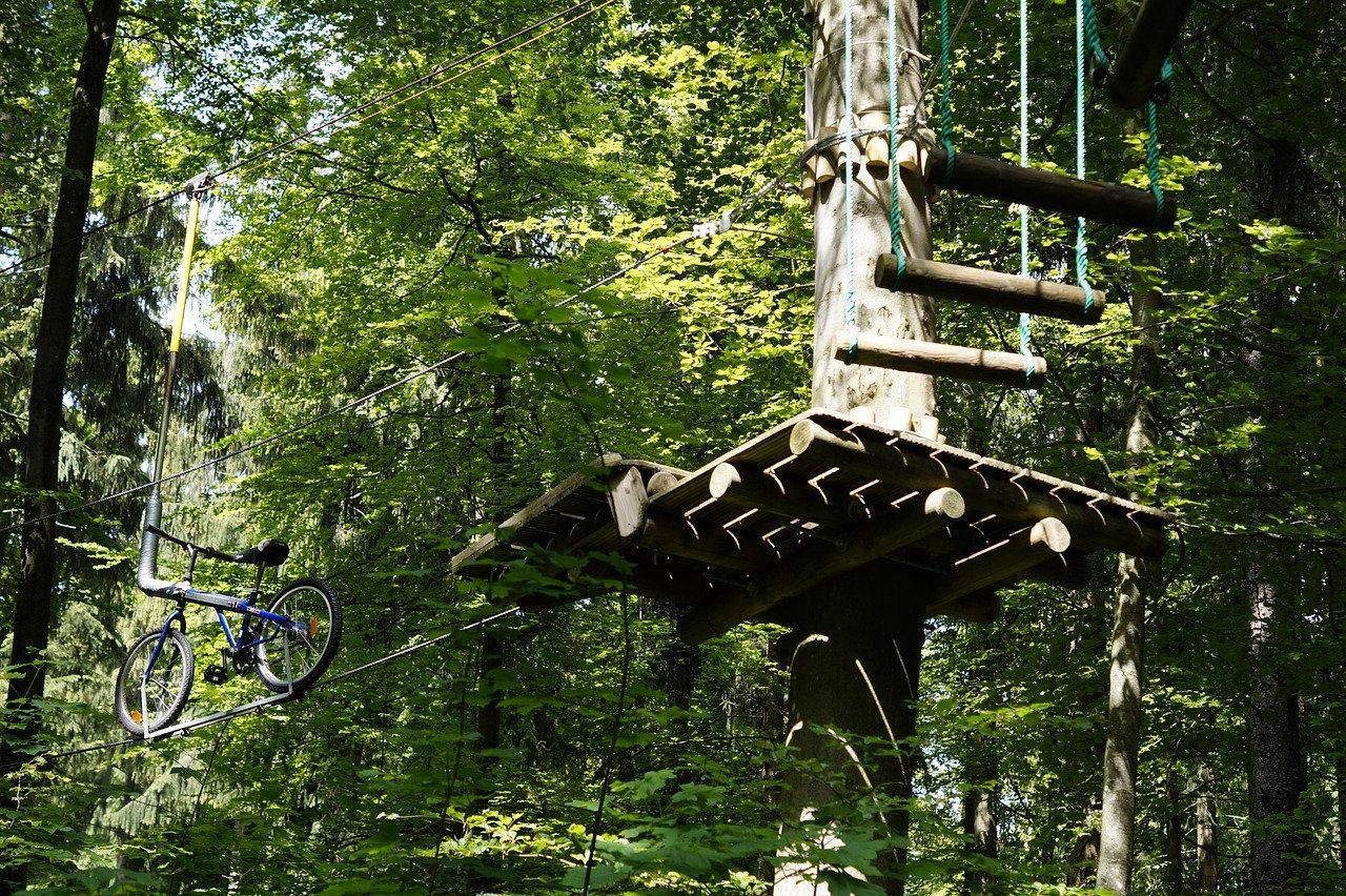 Installation et sécurité d'un parcours accrobranche éphémère