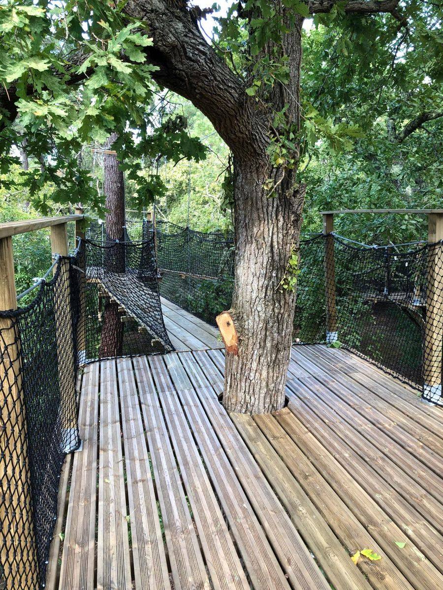 Installation fixe : plateforme en bois autour d'un chêne avec passerelle et filets de sécurité