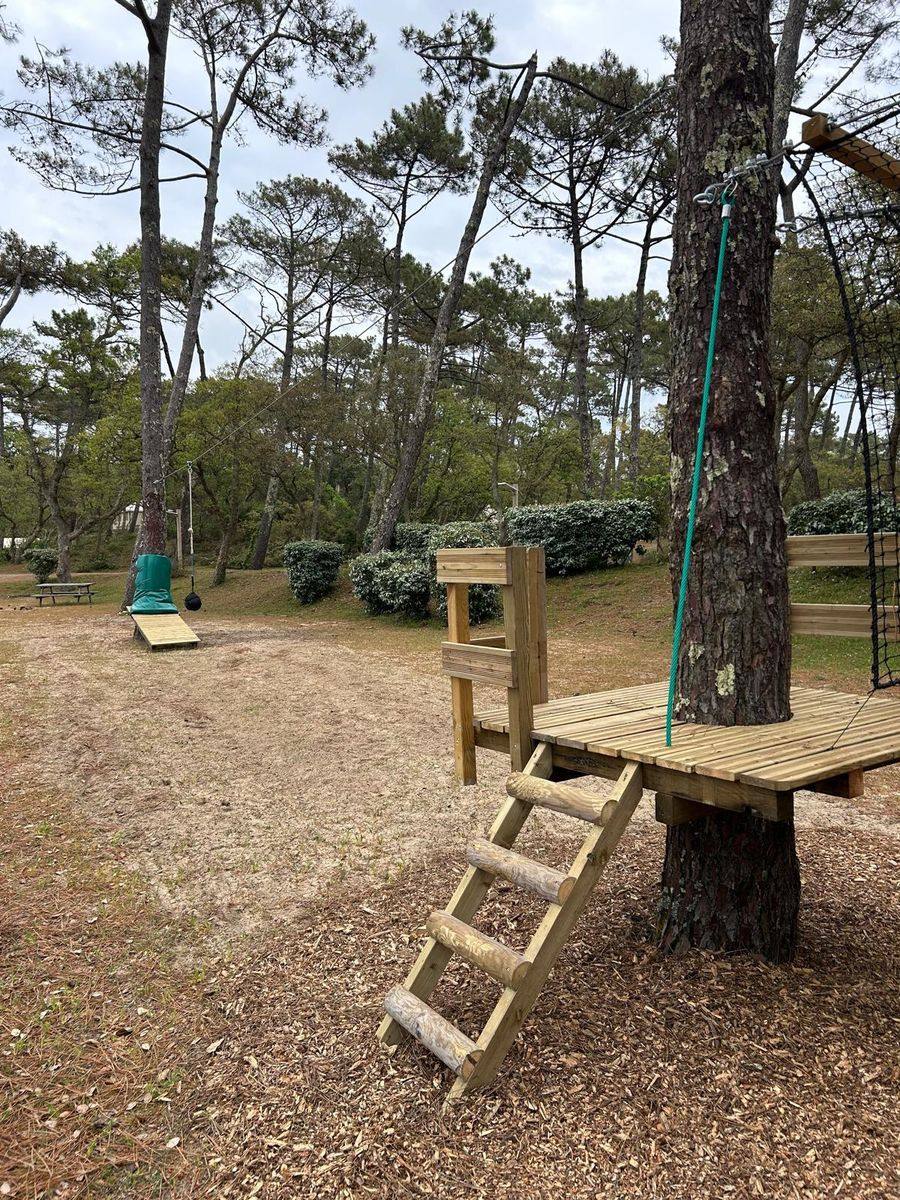 Plateforme en bois et tyrolienne pour enfants installées dans les pins d'un camping