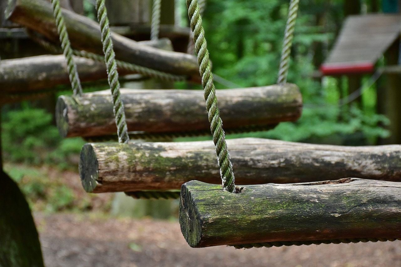 Tourisme d'affaires dans les Landes : team building en pleine nature