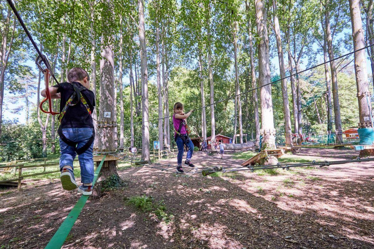 Maintenance accrobranche : enfants sur un parcours aventure entretenu dans un parc arboré