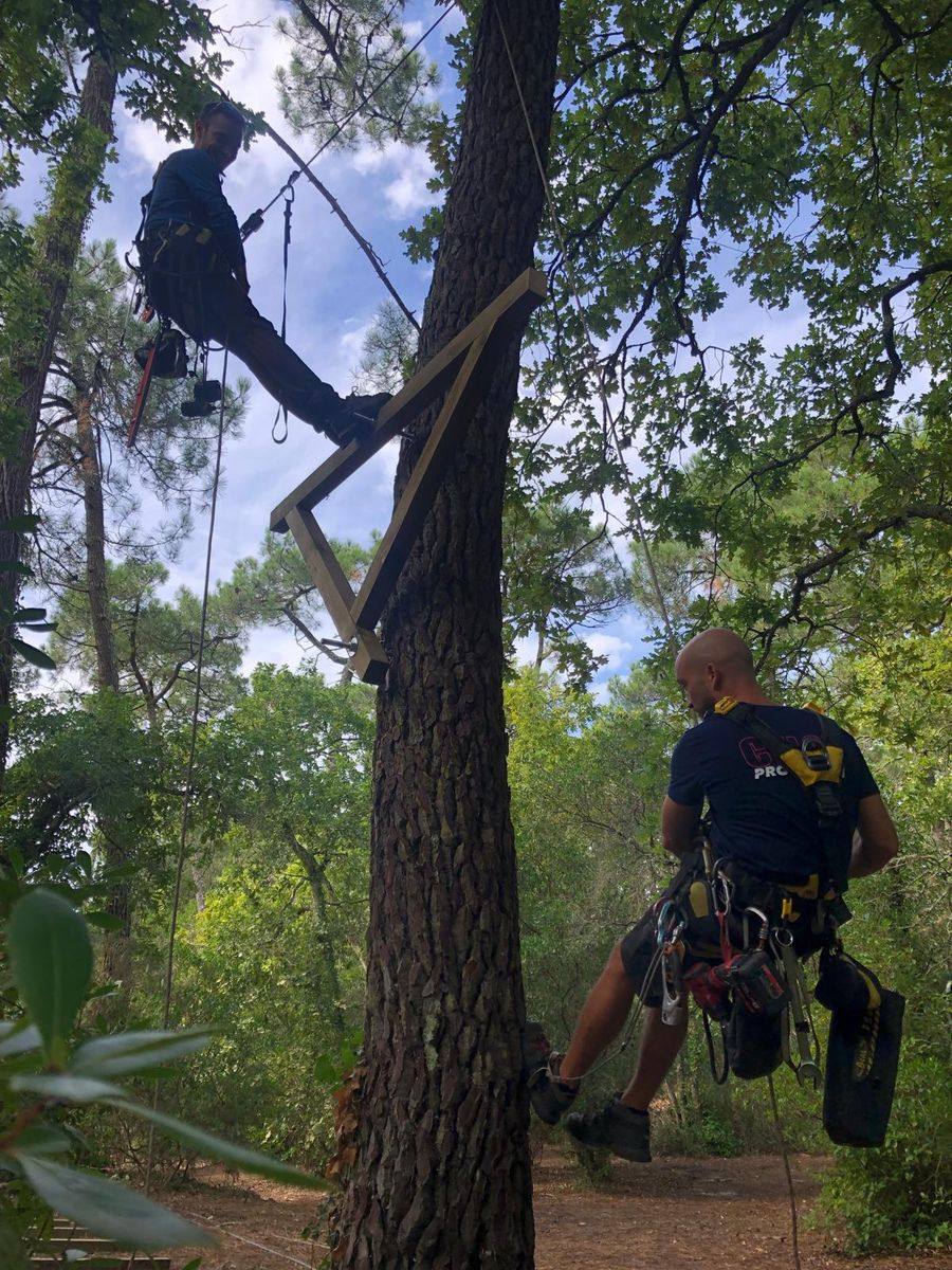 Deux techniciens en hauteur remplacent une plateforme en bois sur un parcours accrobranche