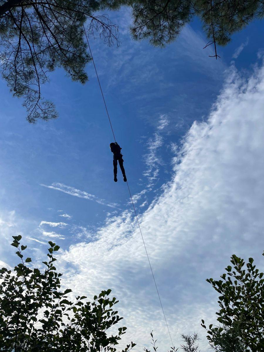 Silhouette d'un participant sur une tyrolienne entre les pins, vue d'en bas